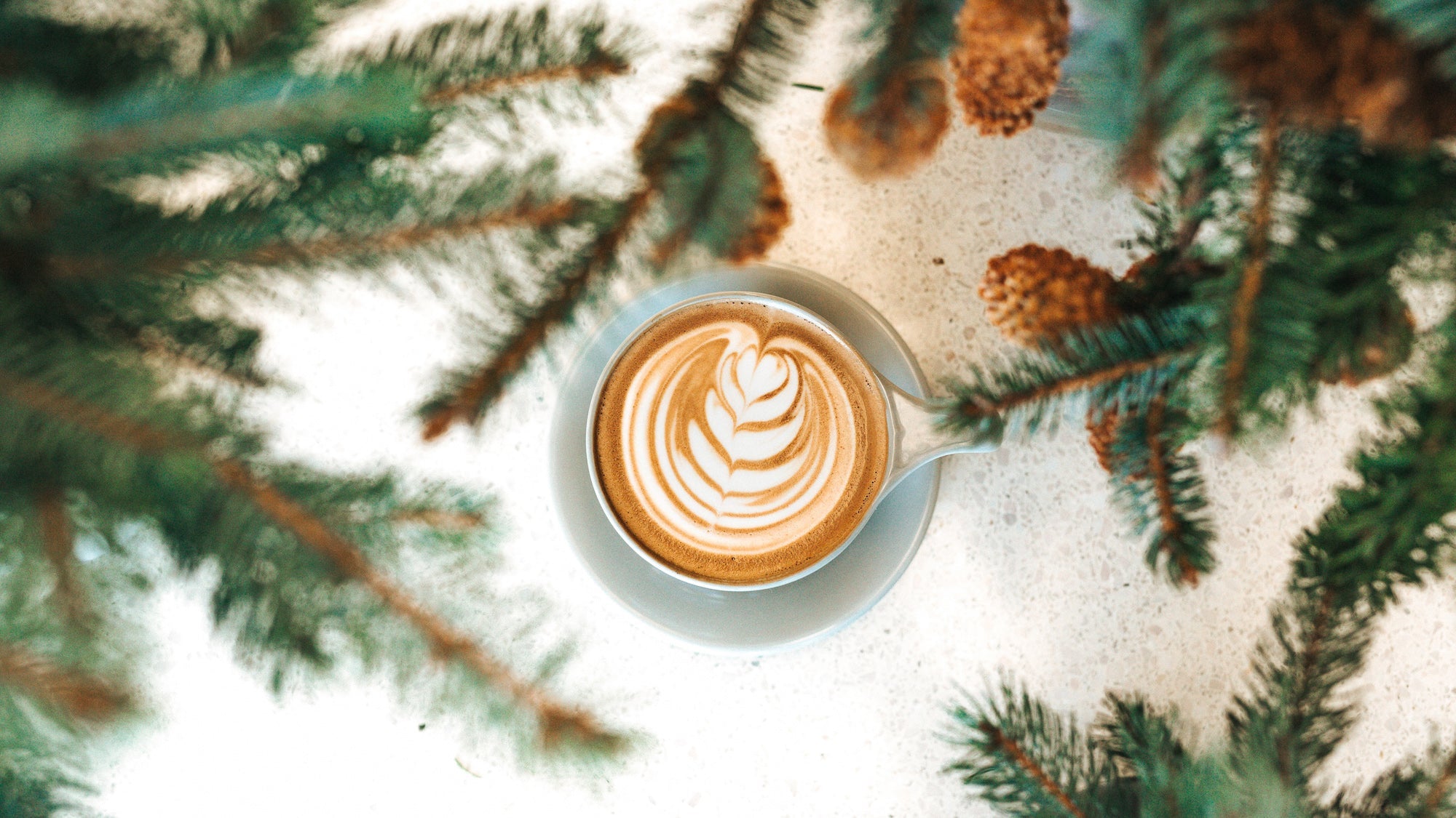Gingerbread Latte - Sonoma Syrup Co.