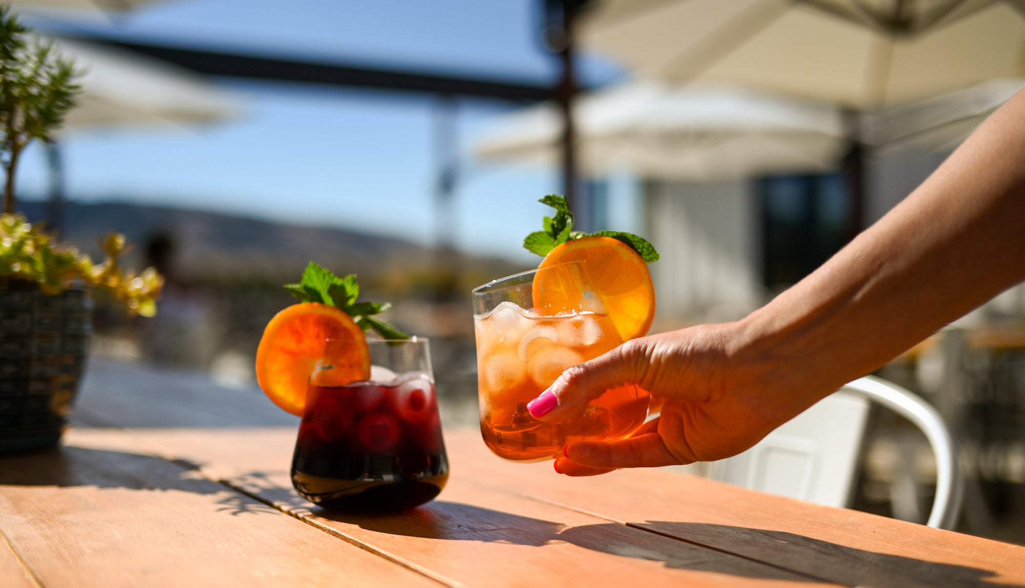Pomegranate Port Fizz - Sonoma Syrup Co.
