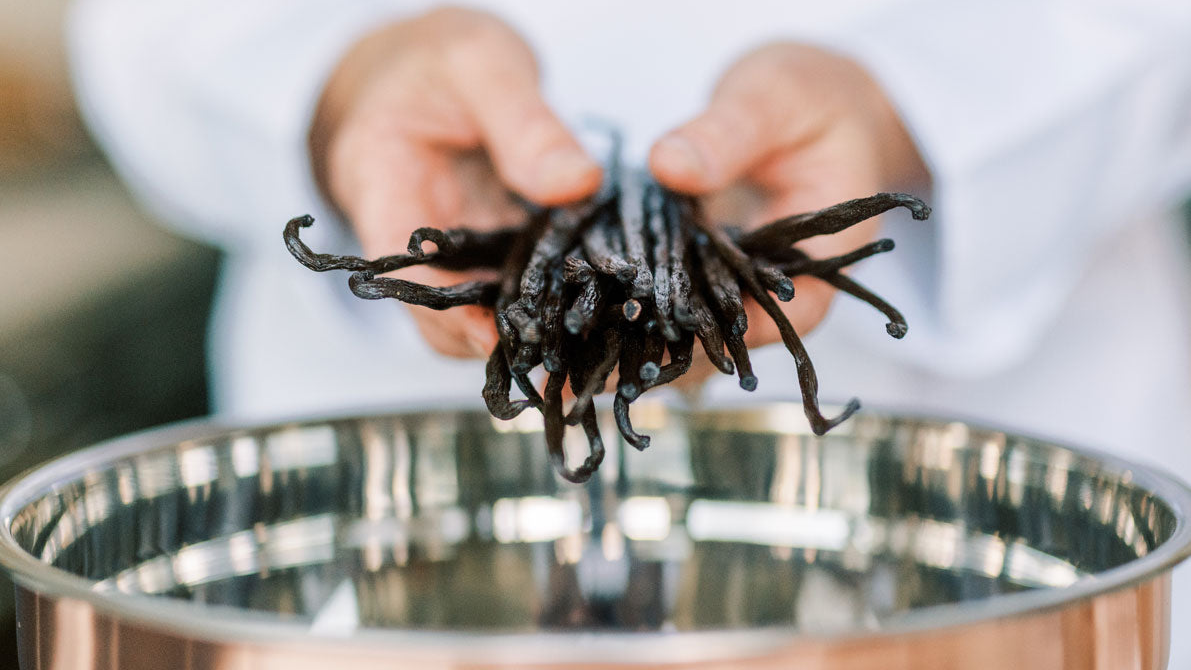 Chef holding fresh vanilla bean pods over copper bowl